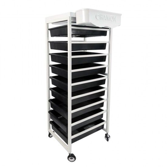 이미지 상세보기